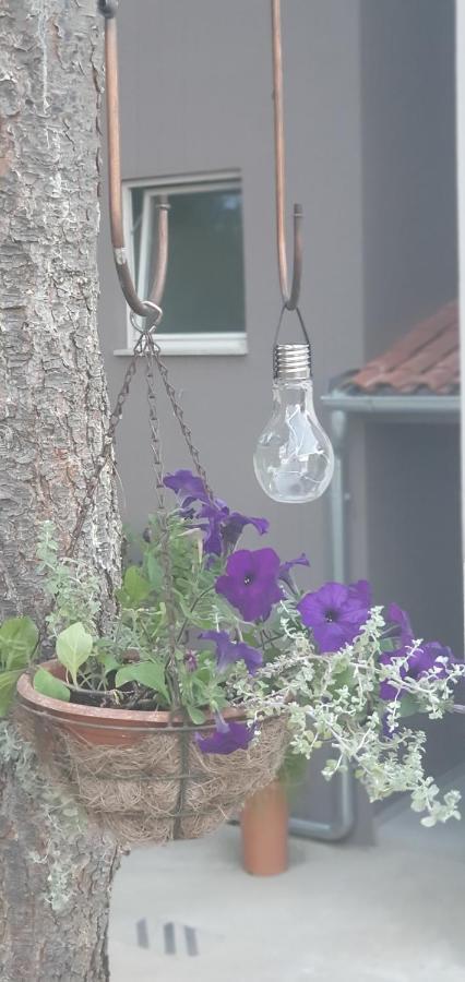 Tika Appartement Pula